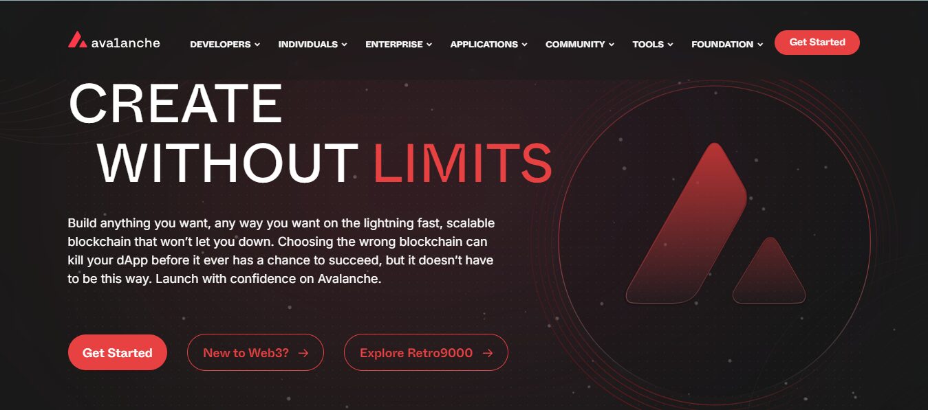 Image of the Avalanche Website Interface on DeFi Planet