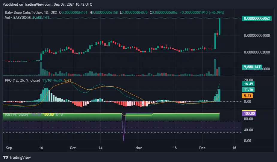 Screenshot 2024-12-09 at 144309 - Coin Push Crypto Alerts - Coin Push Crypto Alerts BABYDOGE PPO and RSI chart — Dec. 9 | Source: Tradingview
