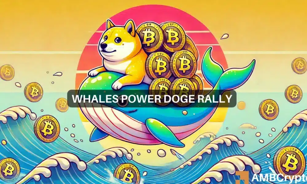Dogecoin whales buy 160 mln DOGE – Does this signal a pump?