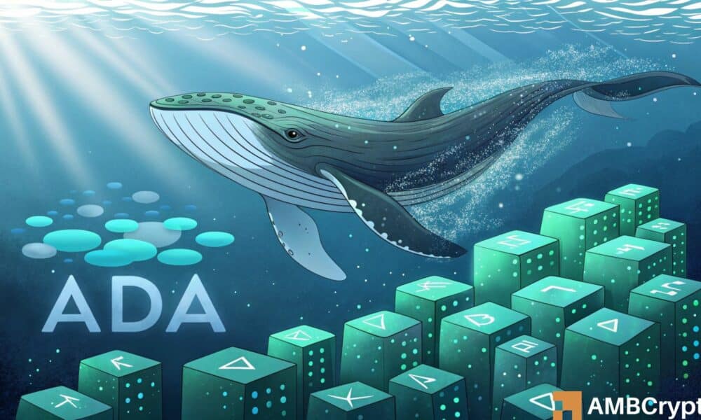 ADA drops by 8.82% as whales purchase 10 million tokens