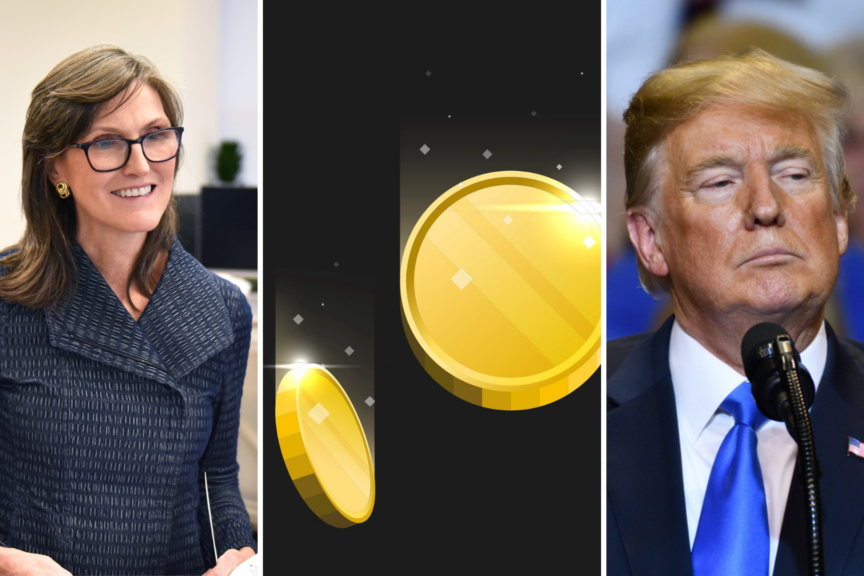 Cathie Wood Passes On Trump Meme Coin, Poll Shows Investors Split With 58% Saying This