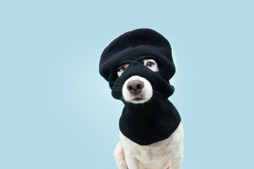 Congressman Buys More Ski Mask Dog Coin: Will Meme Coin Hit New All-Time-Highs On Latest Disclosure? – Grayscale Ethereum Mini Trust (ETH) Common units of fractional undivided beneficial interest (ARCA:ETH)