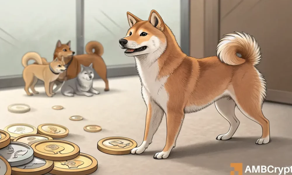 Shiba Inu holds its ground as memecoins decline by 12% – What now?