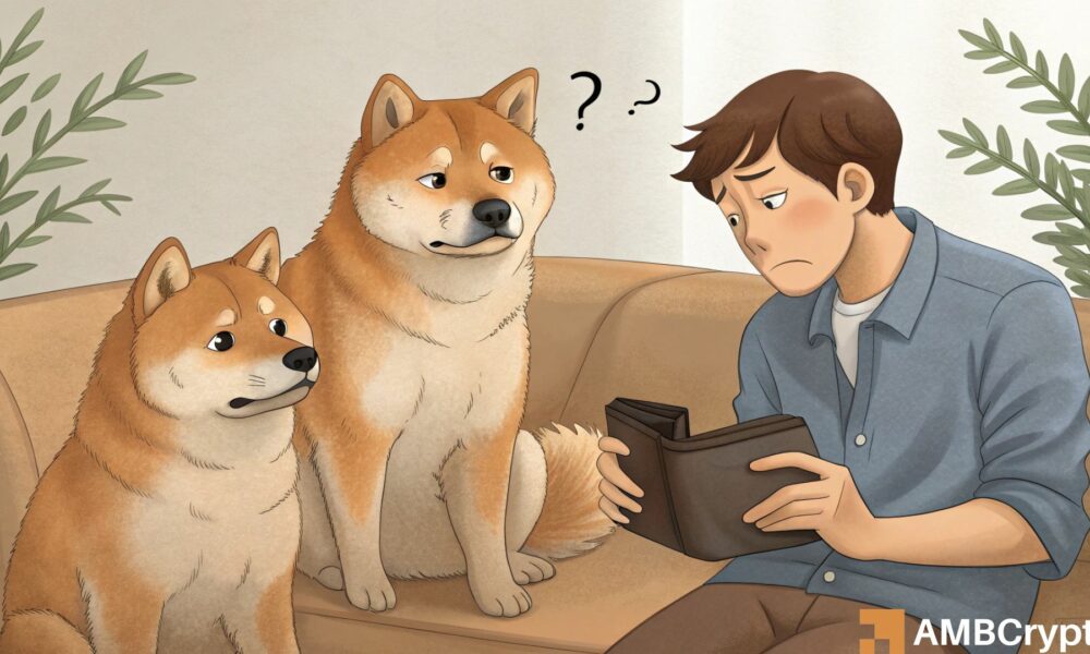 Shiba Inu wallet profits hit 3-month low – Here’s what you should watch out!