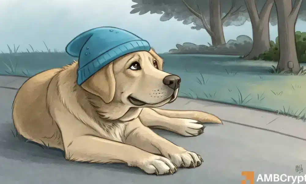 dogwifhat faces pressure despite strong memecoin market share – Why?