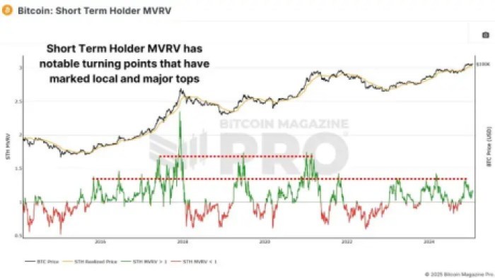 The Short-Term Holder MVRV