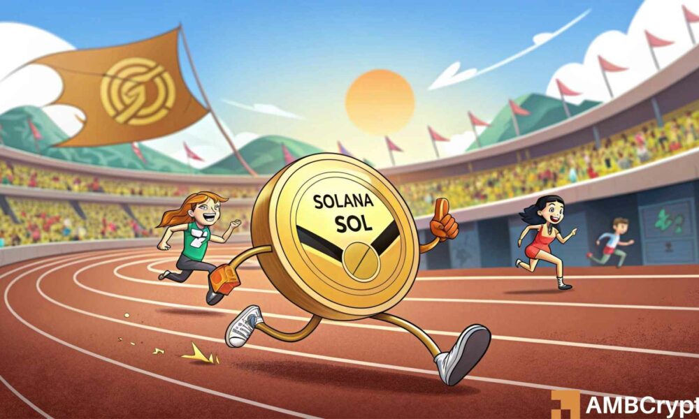 Solana: 77% of traders go long – Are they eyeing the $243 level?