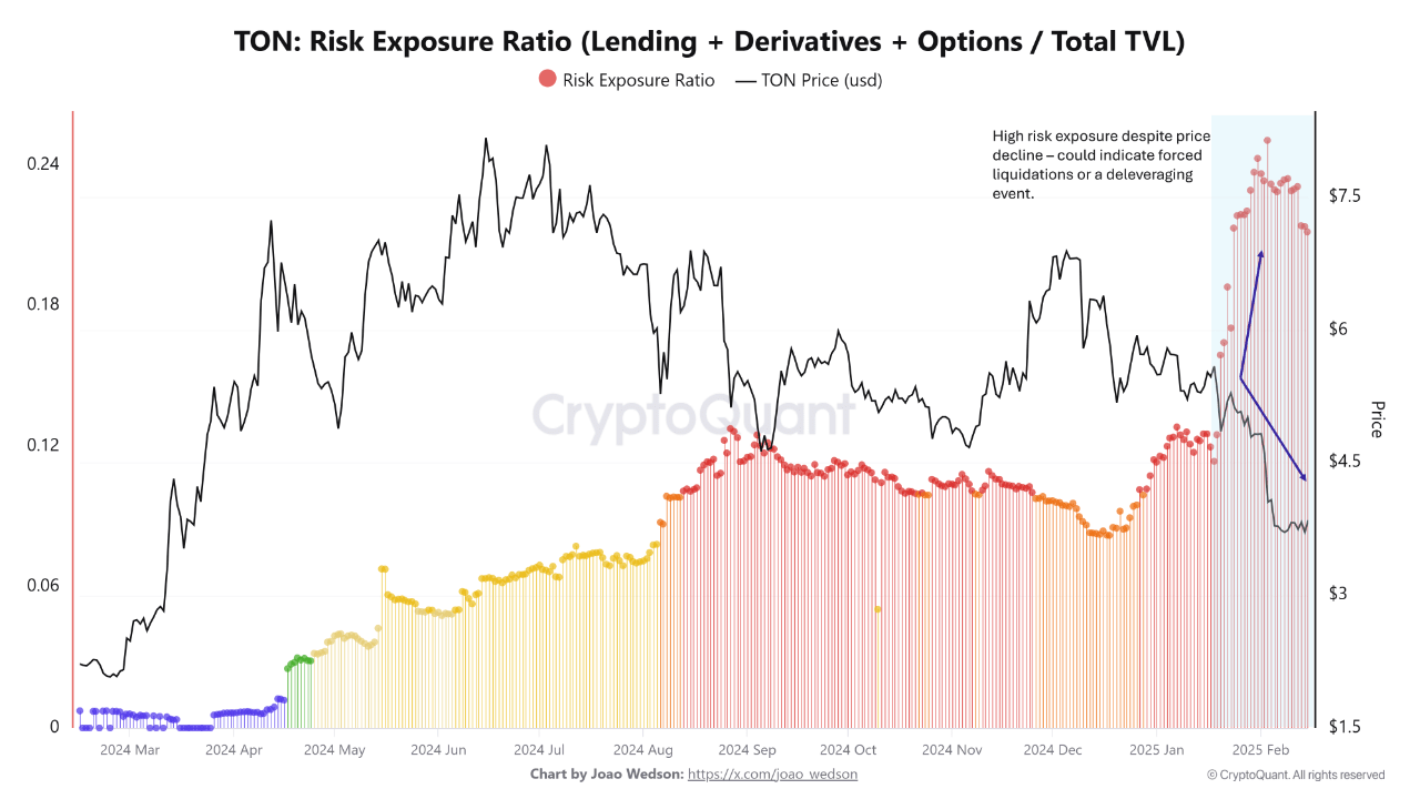 Toncoin (TON) Risk Exposure Ratio