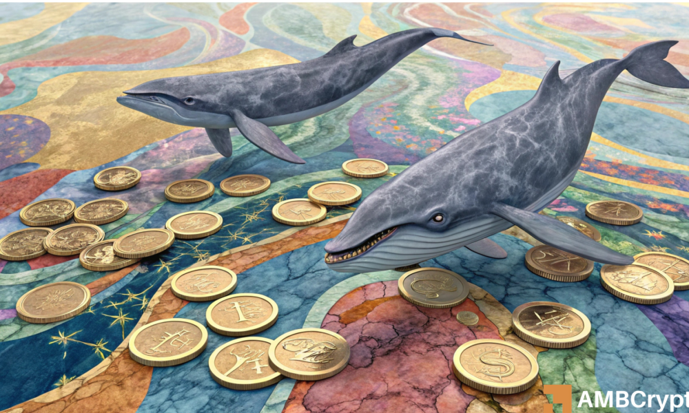 AIOZ: How $4.12M whale action helped coin soar 40% in an hour