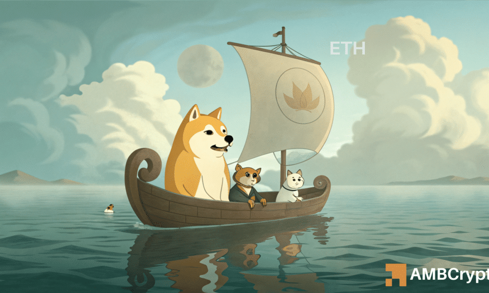 Dogecoin – How stagnant DOGE whale activity affects its price