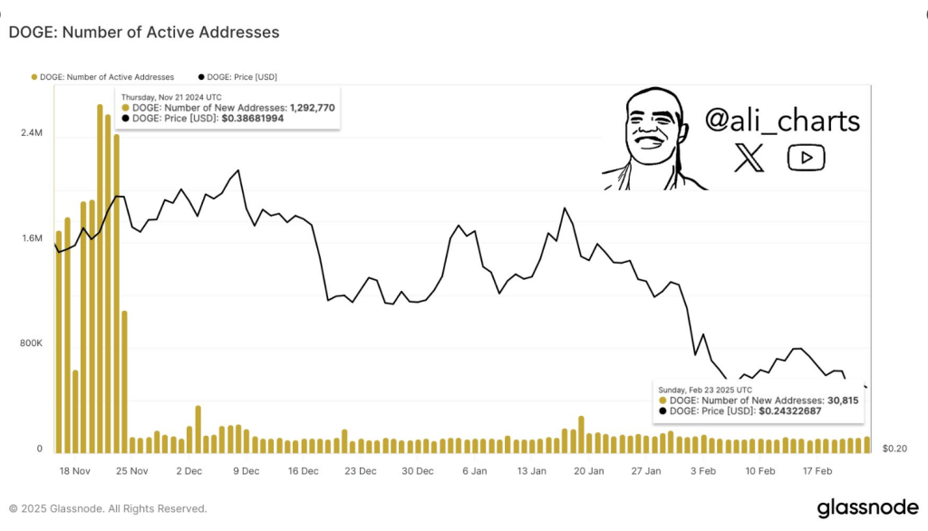 Dogecoin Sees 95% Drop in Network Activity—Trouble Ahead?