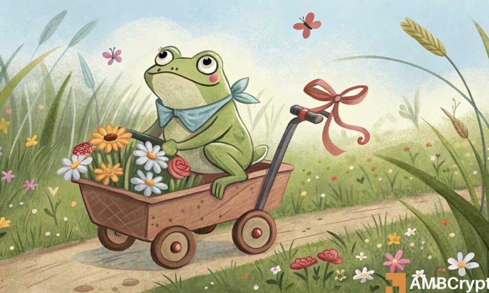 Is BONK poised for a recovery? Key levels to monitor are…