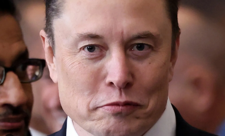 Musk’s DOGE Investigates SEC—Will It Impact The Ripple Lawsuit?