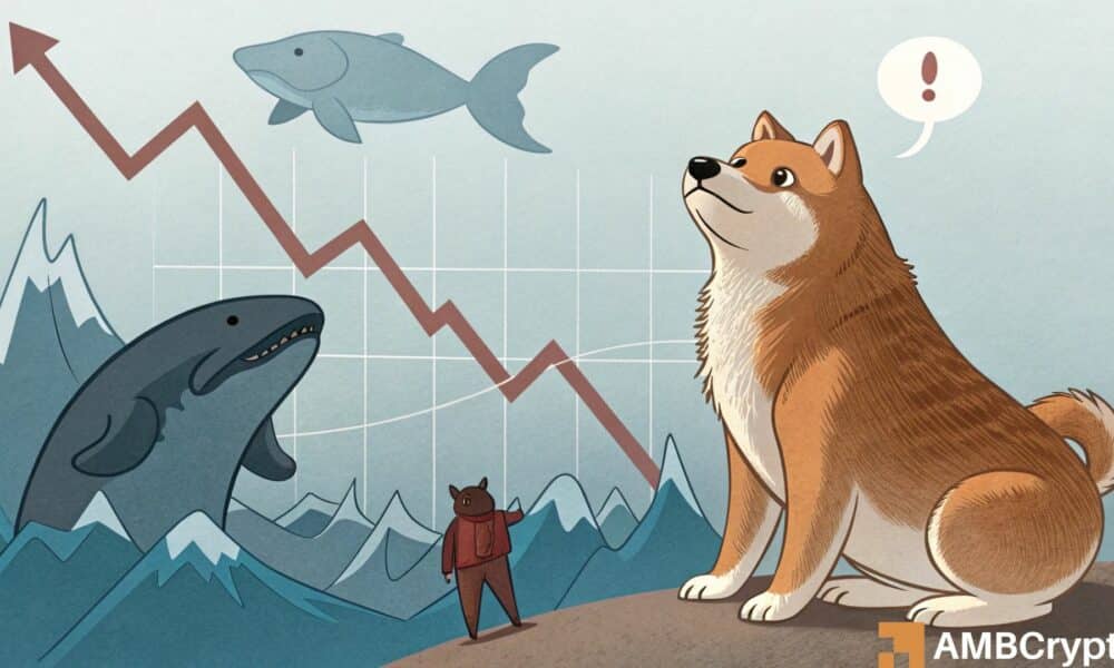 Shiba Inu whale activity soars despite storing bearish sentiments