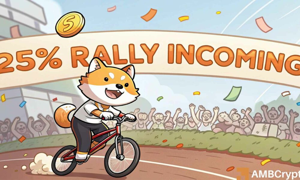 Shiba Inu whale transfers 1.24T SHIB – Will this spark a 25% surge?