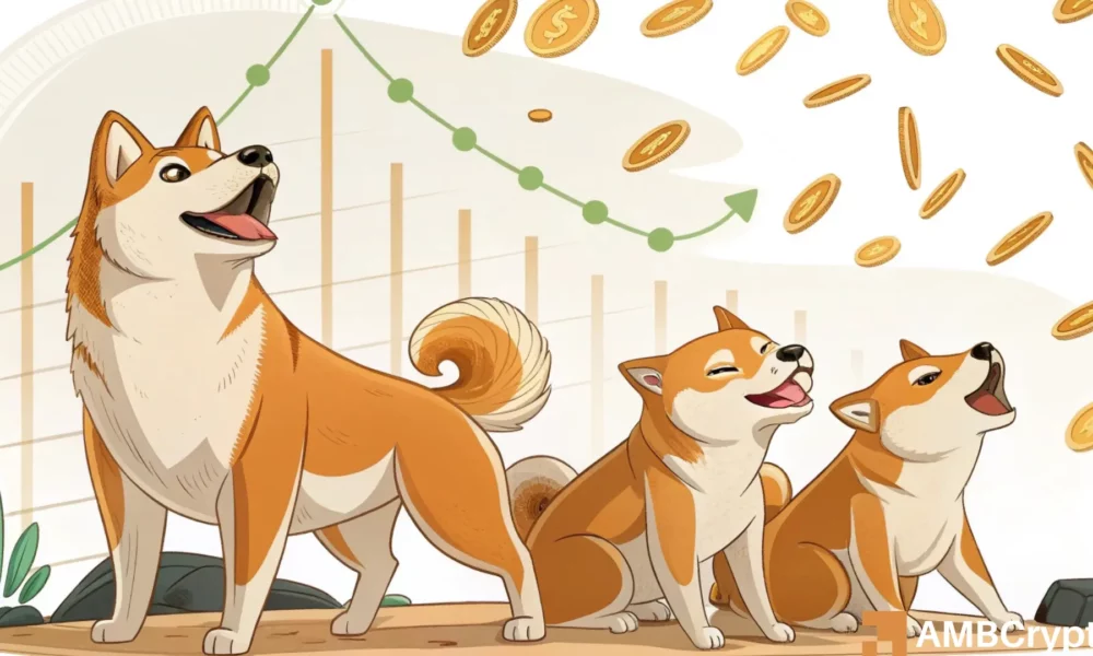 Will profit-taking across WIF’s market stall rally led by whales, smart money?