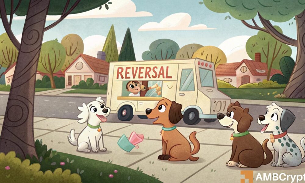 dogwifhat: WIF can rally beyond $4 only if THIS happens