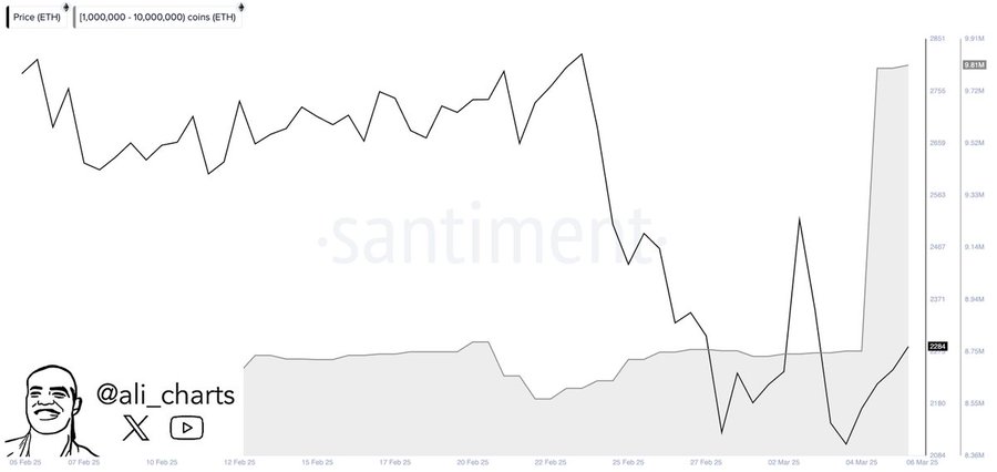 Ethereum whales trend