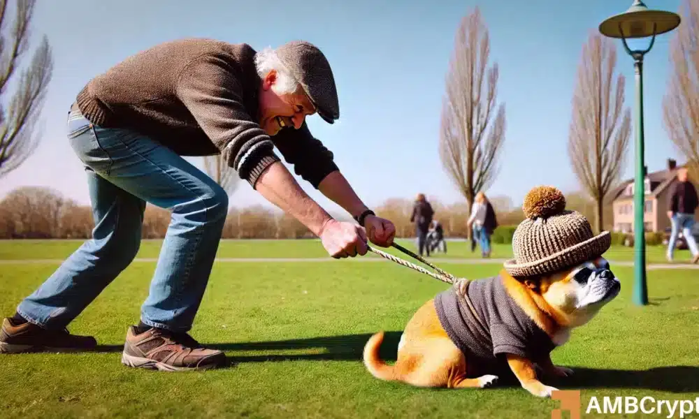 Examining if dogwifhat traders can push WIF past THIS major hurdle