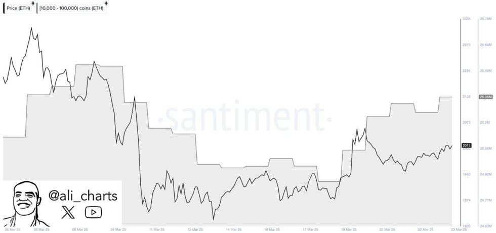 Ethereum whales bought 470,000 ETH in a week | Source: Ali Martinez on X