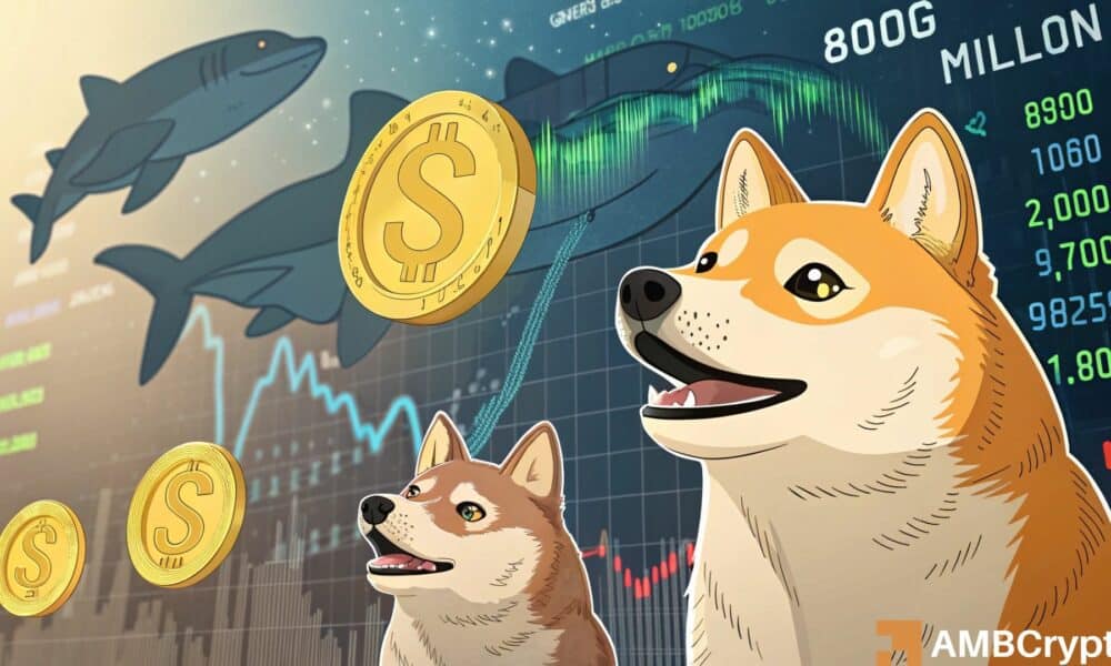 Dogecoin whales’ 800M purchase – What should you expect next?