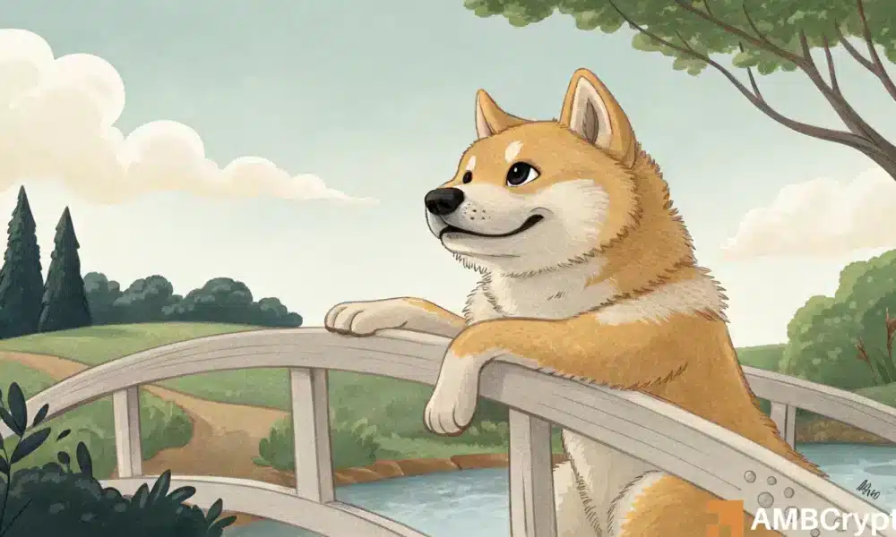 Dogecoin dips 16%, hits $0.16: Where will DOGE go next?