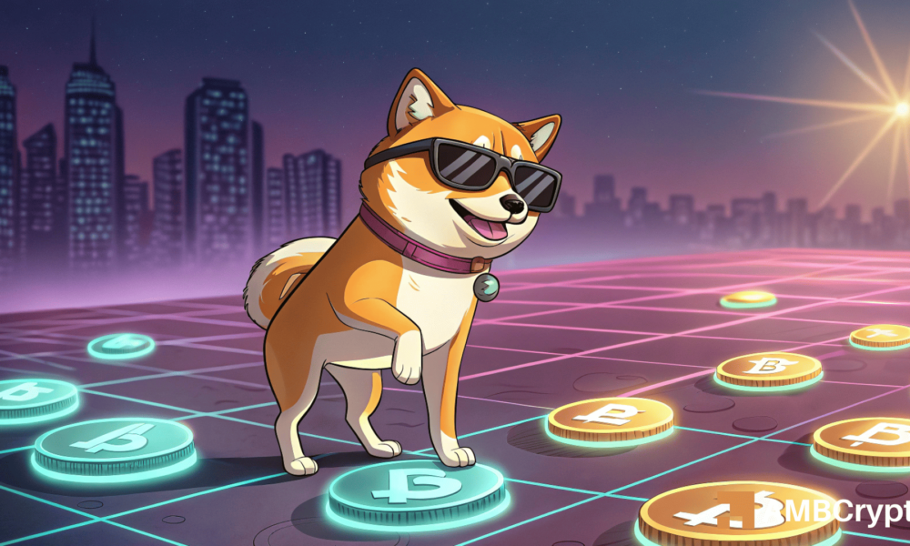 Shiba Inu – A 6,306% hike in inflows? It could be a breakout or a bull trap IF…