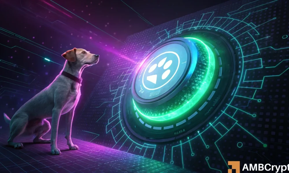 dogwifhat: What you should do to profit from WIF’s 24% dip