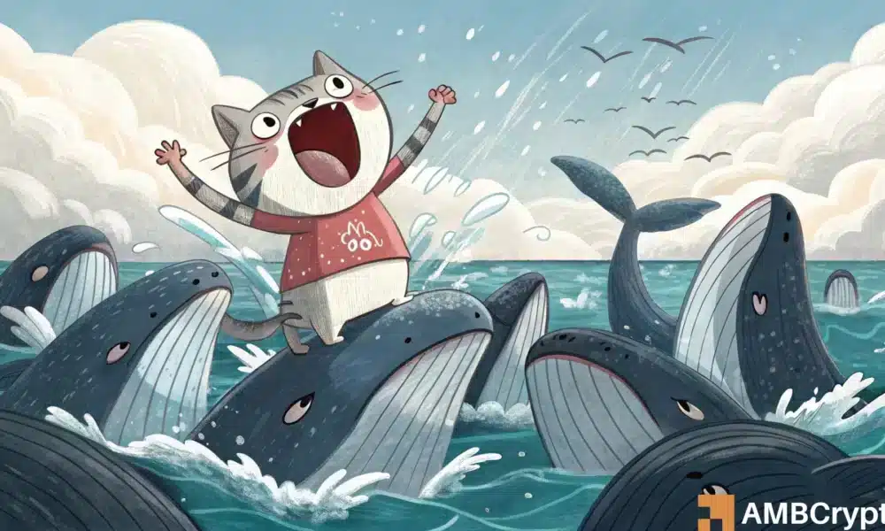 Popcat rallies 16% amid aggressive whale accumulation