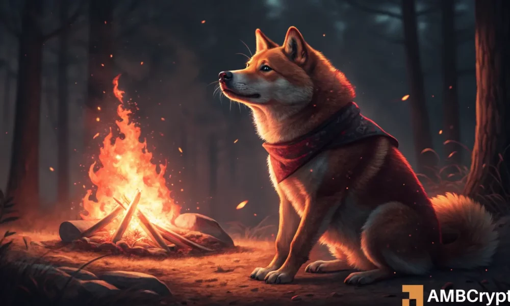 Shiba Inu’s burn rate explodes 65,141% – Is a SHIB breakout finally coming?