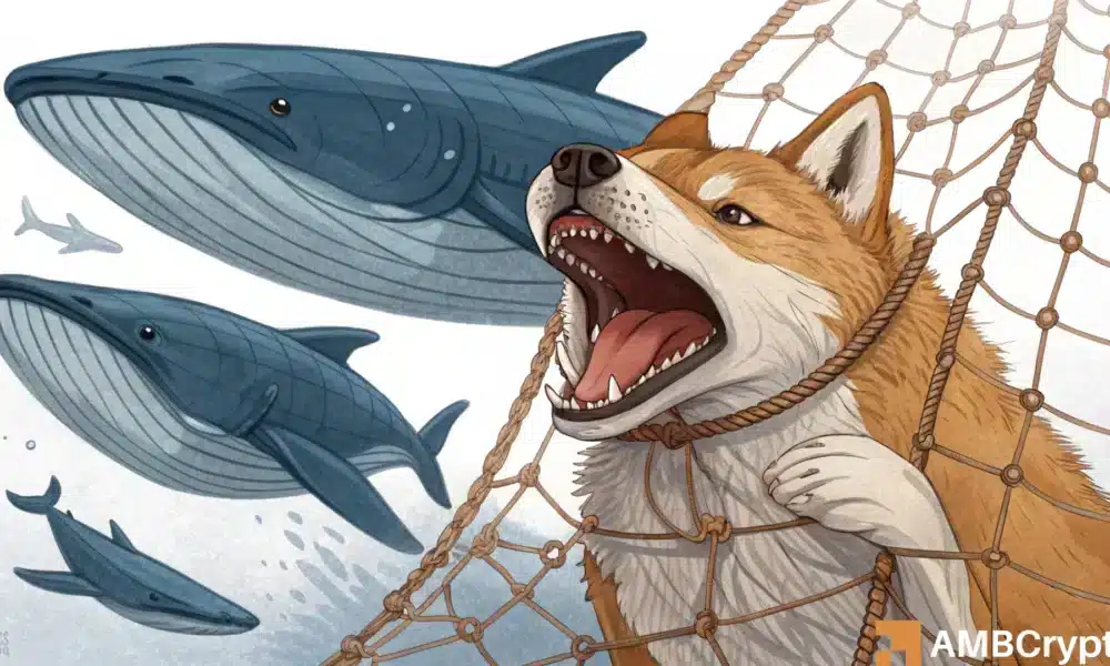 Shiba Inu whales quietly accumulate – Is SHIB ready for breakout rally in September?