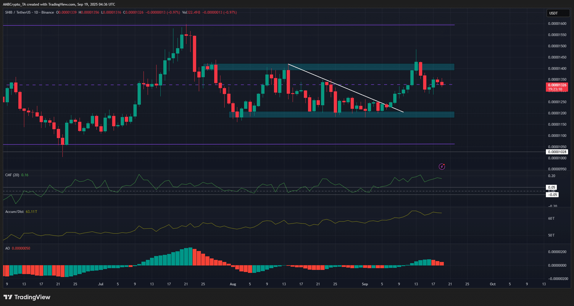 Shiba Inu 1-day Chart