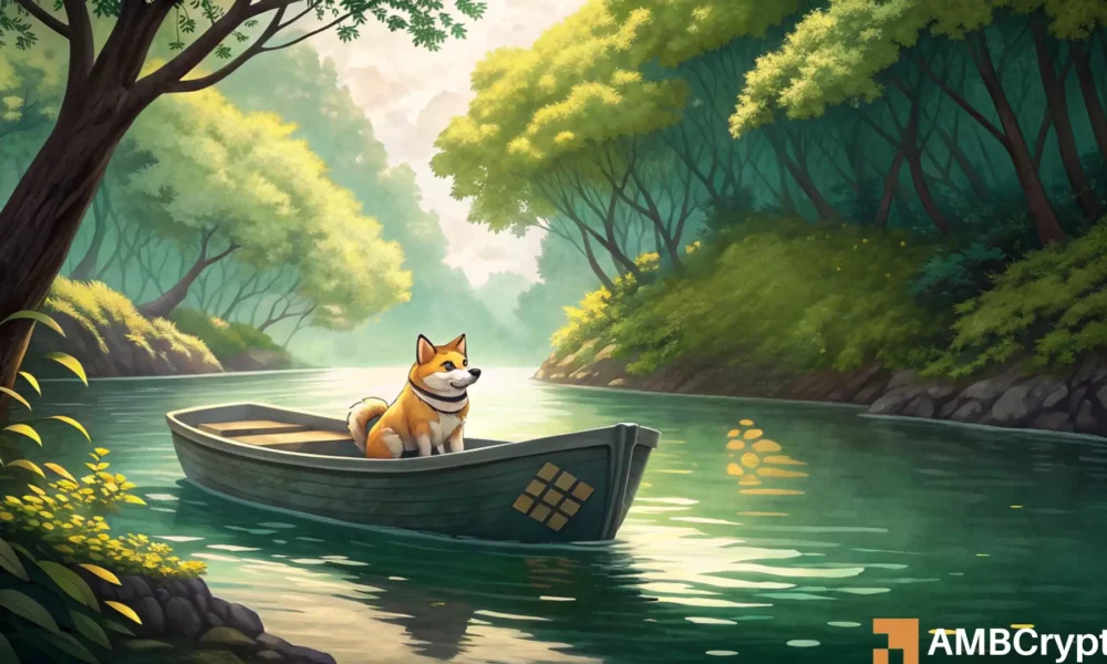 Shiba Inu dips – Can this KEY support reignite SHIB’s rally?