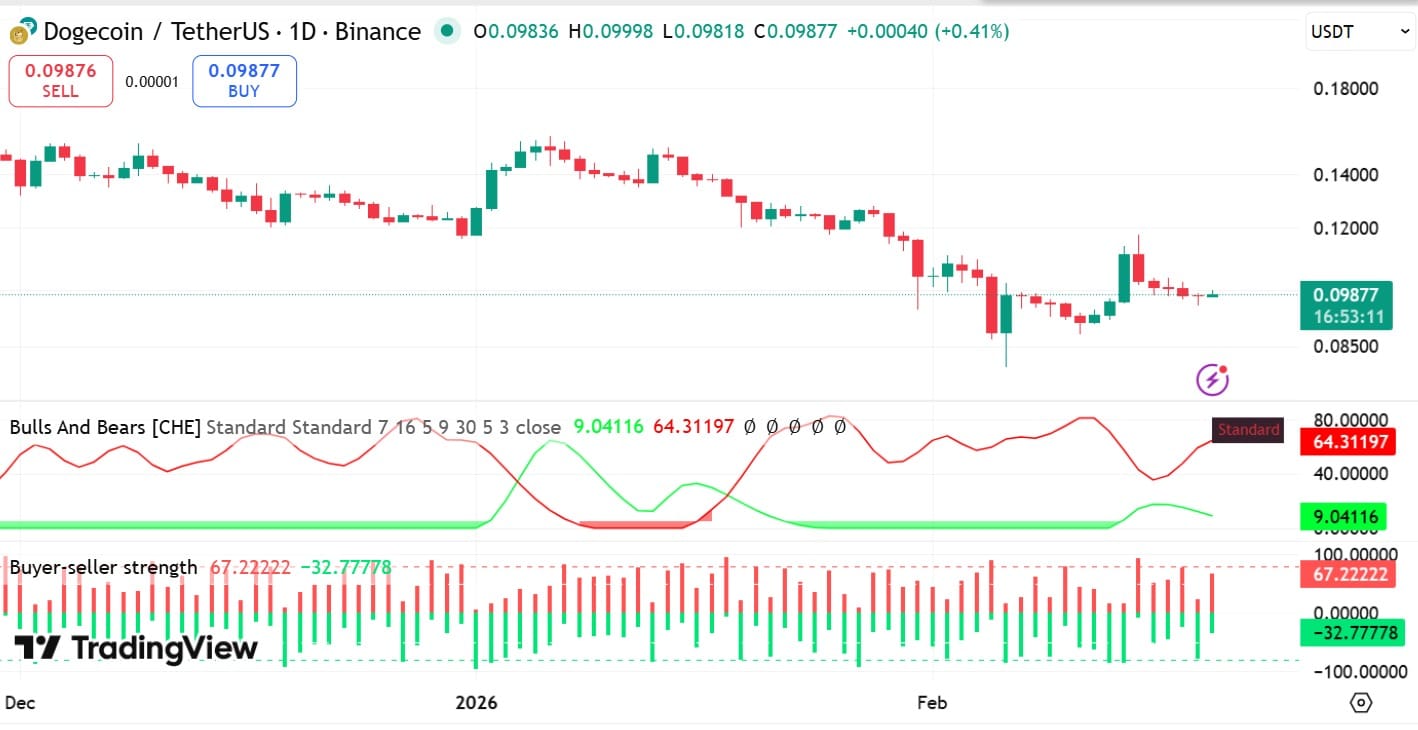 Dogecoin bulls and bears