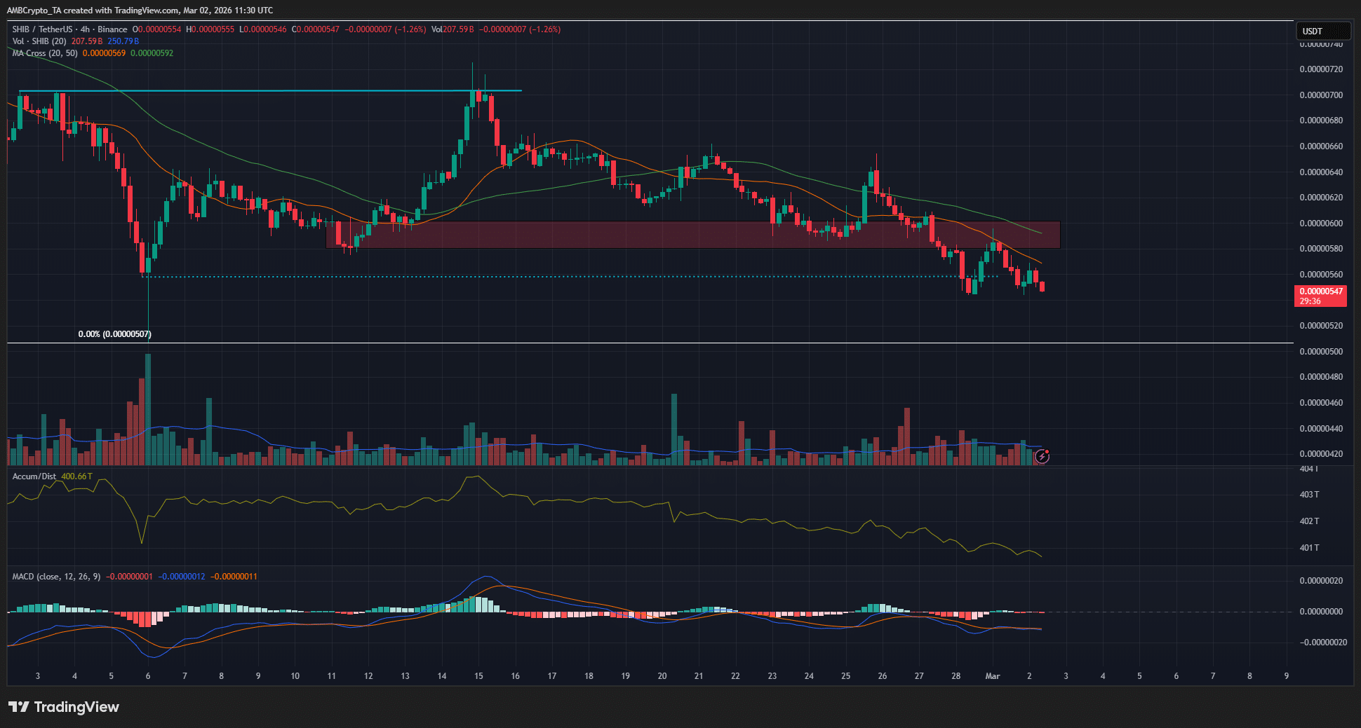 Shiba Inu 4-hour Chart