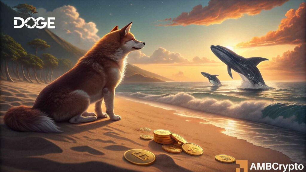 Is Dogecoin poised for rally? Whales add 500 million DOGE