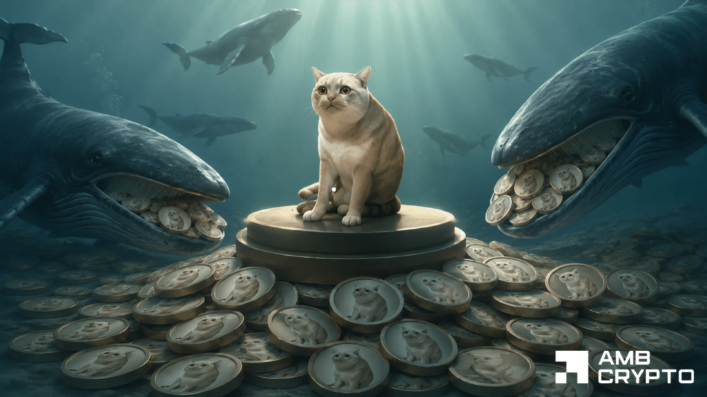 Robinhood Chain memecoin CASHCAT explodes to $100M in hours: Can the bull flag hold?